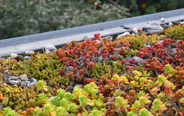 the cost of West Chiltington green roof installation