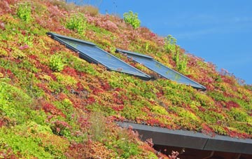 West Chiltington living roof systems